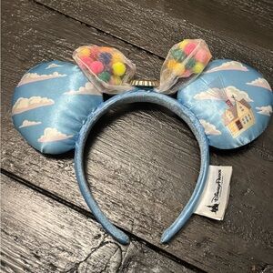 Up Disney Parks Ears